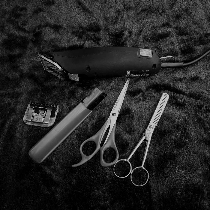 Wat heb je te bieden